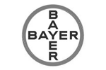 Bayer